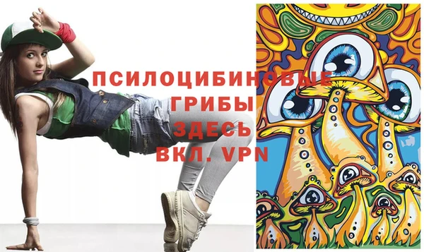 гашик Арсеньев