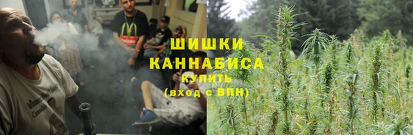 прущий лед Пестово