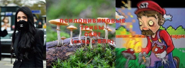 гашик Арсеньев