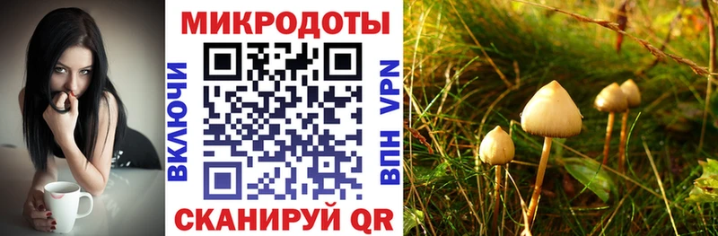 Псилоцибиновые грибы ЛСД  ОМГ ОМГ ссылки  Оха  купить наркотики цена 